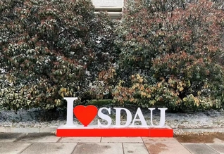 I love SDAU